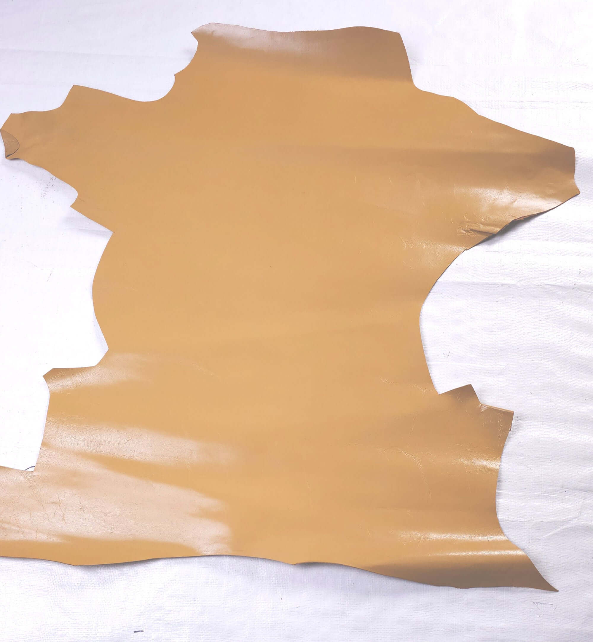 Mustard Yellow goatskin offcuts - skin 2