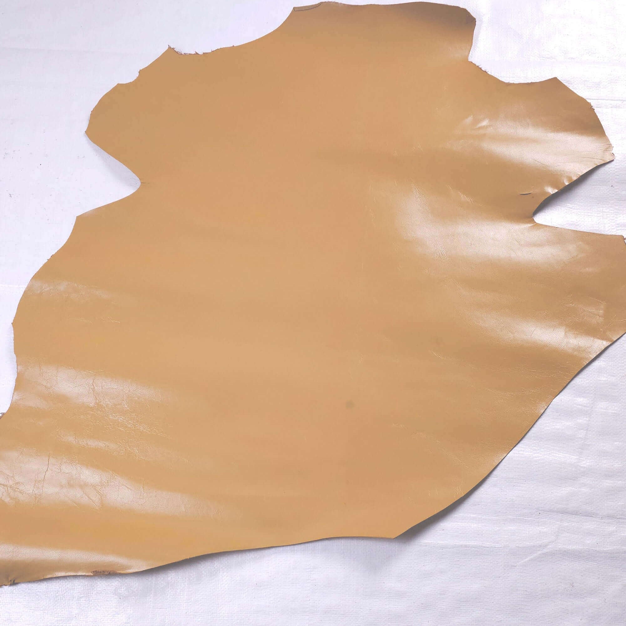 Mustard Yellow goatskin offcuts - skin 1