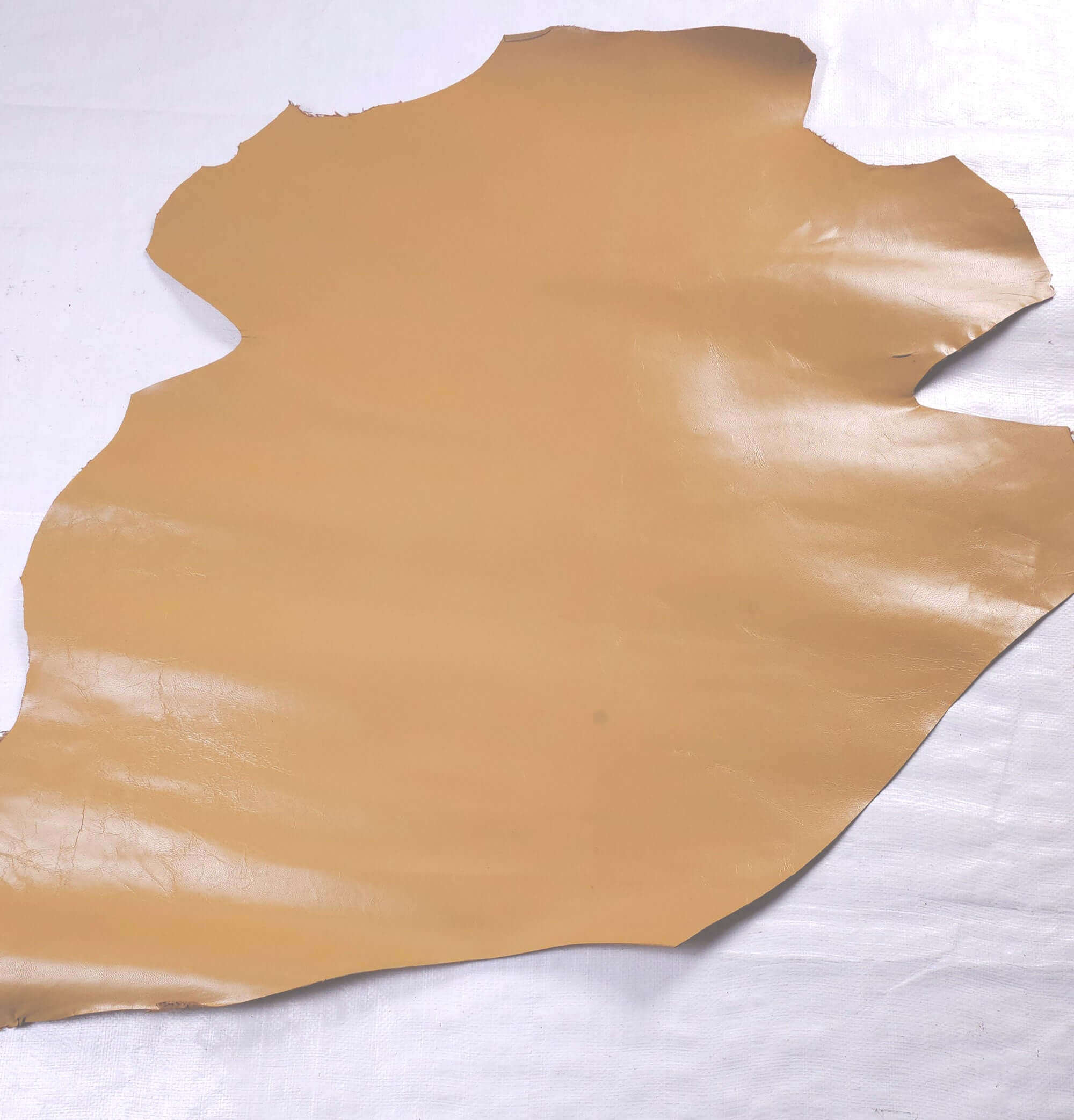 Mustard Yellow goatskin offcuts - skin 1