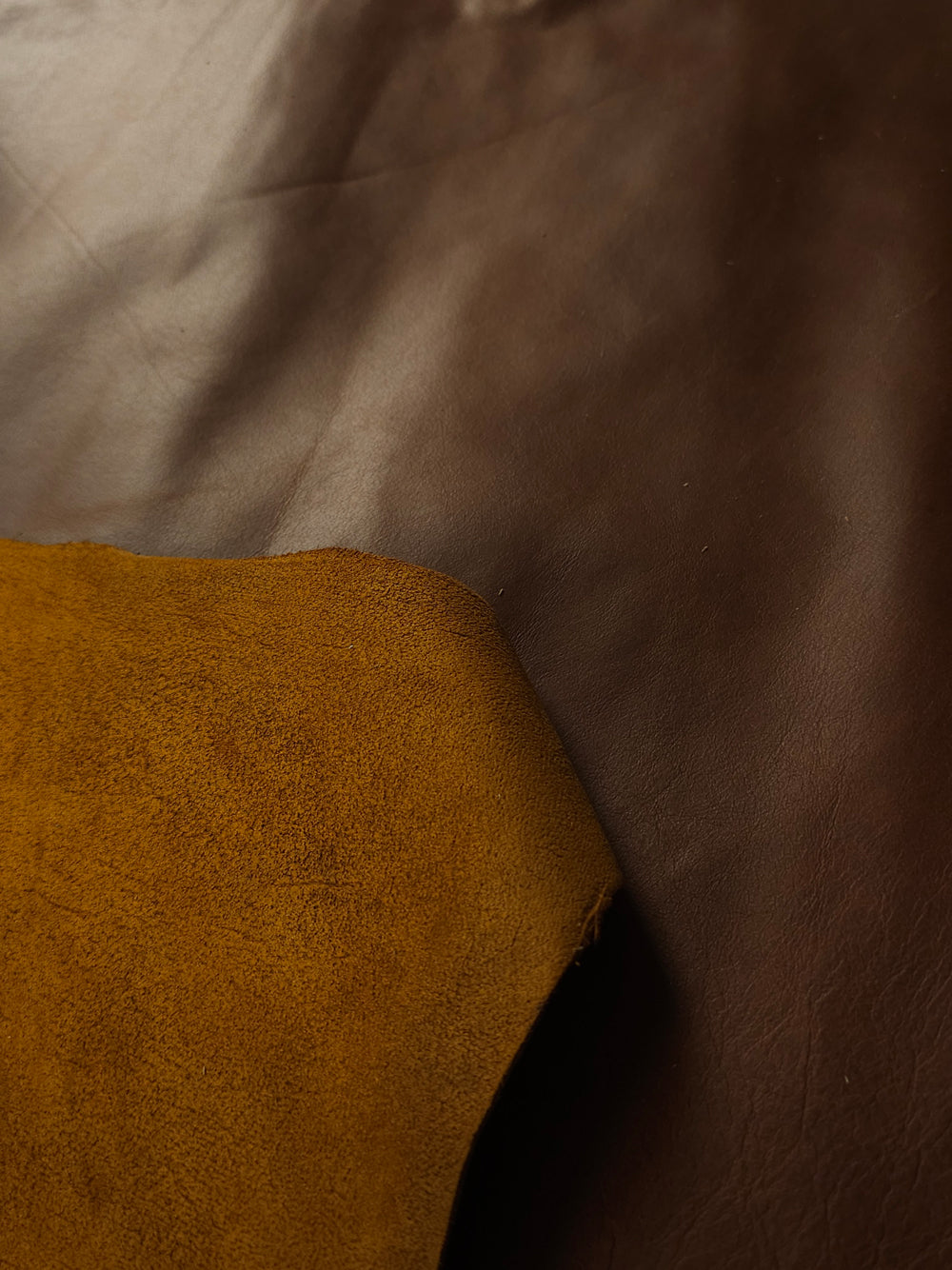 Detail of fine grain and reverse on Cuba cowhide hide