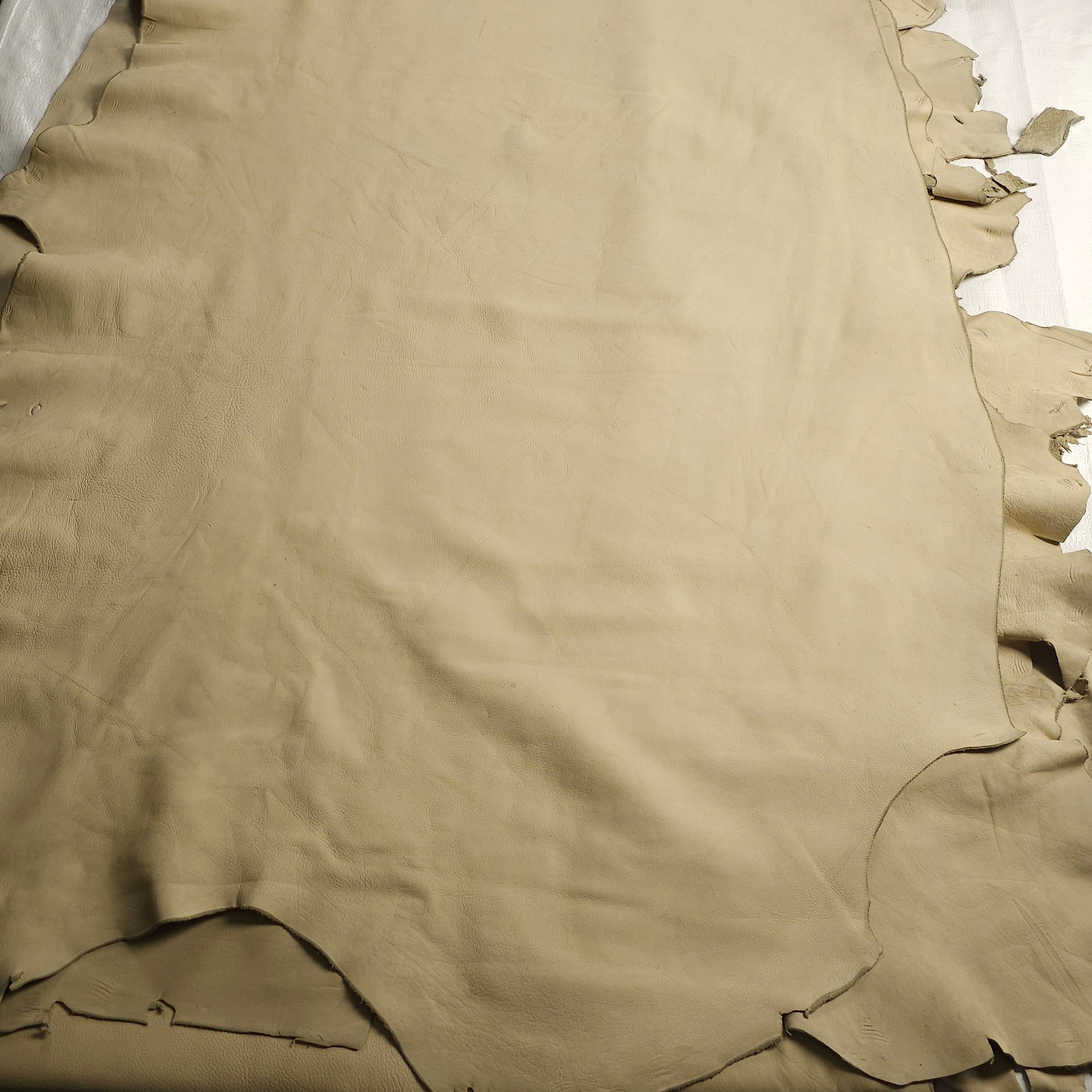 Beige Side Hides Various Sizes