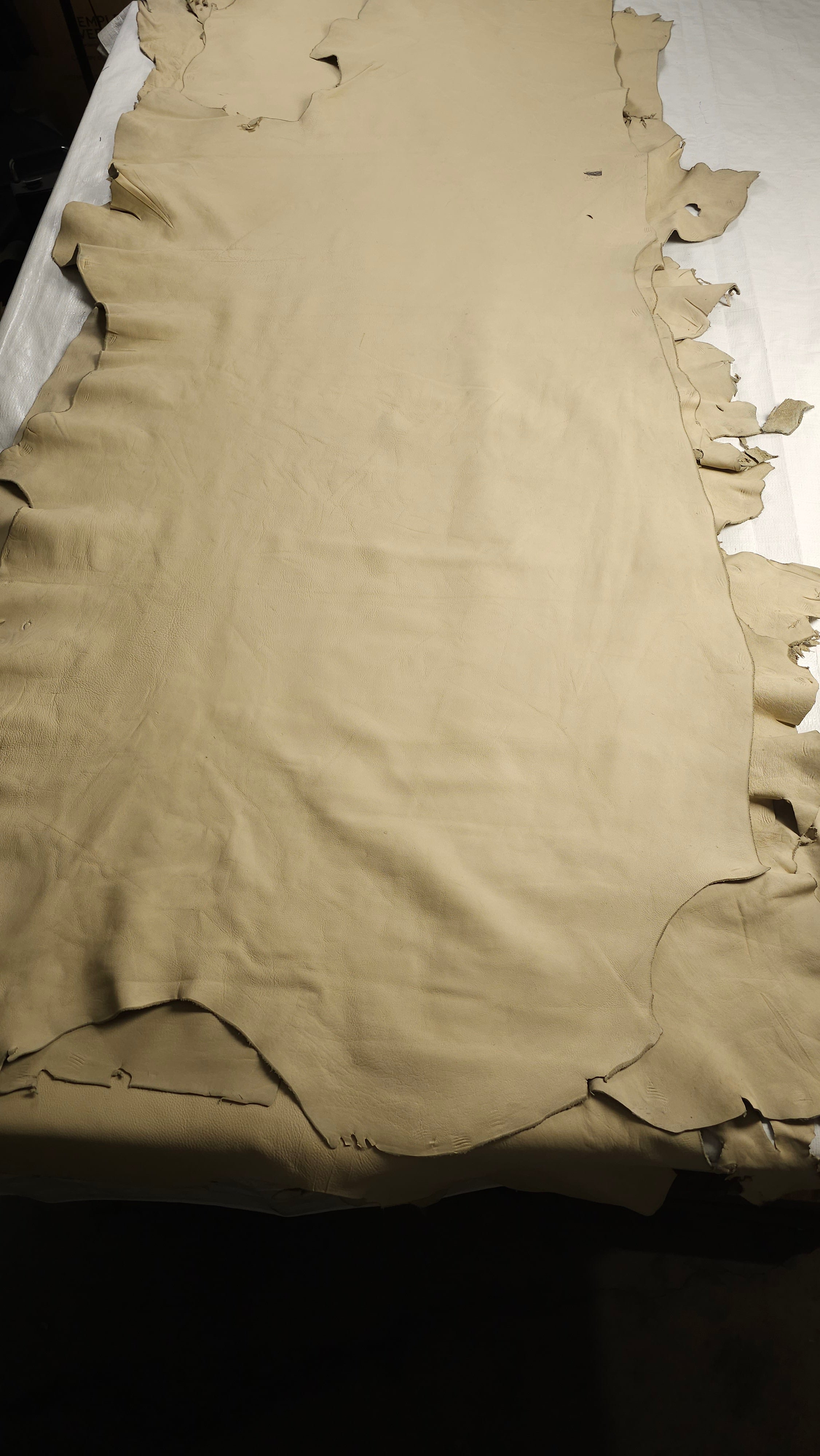 Beige Side Hides Various Sizes