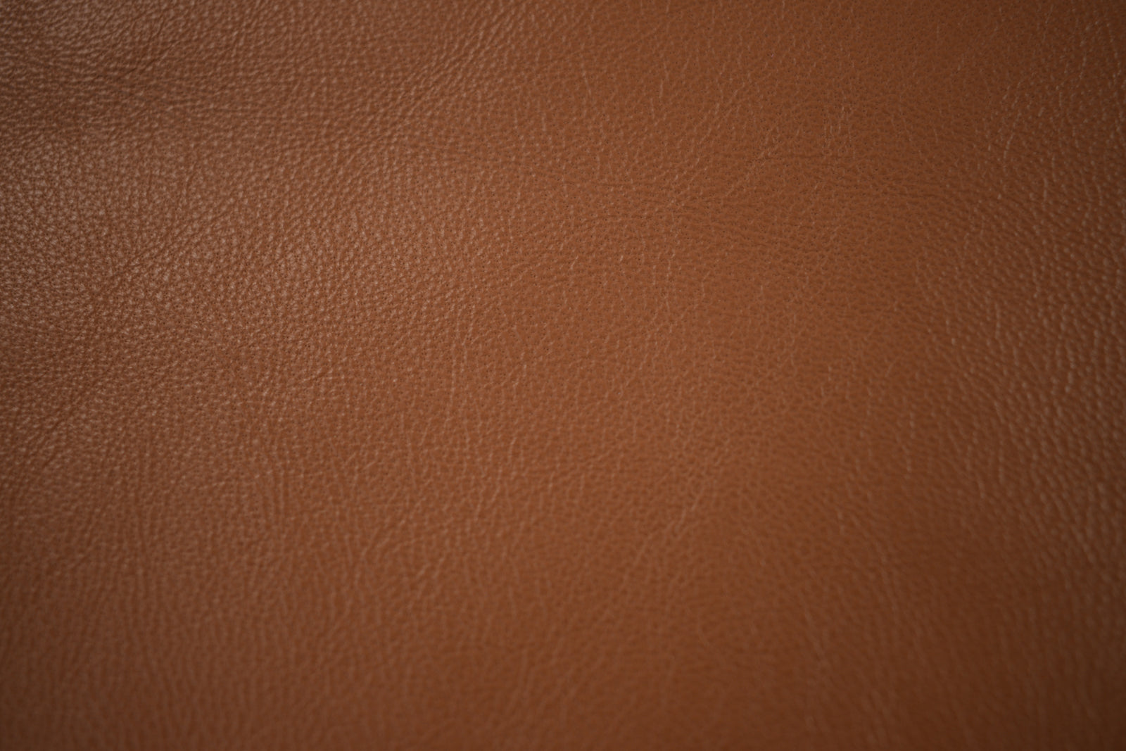 Close up of buttery soft saddle tan lambskin hides, perfect for couture fashion and home furnishings. Fine grain texture, soft and pliable. 8-10 sq ft sizes.