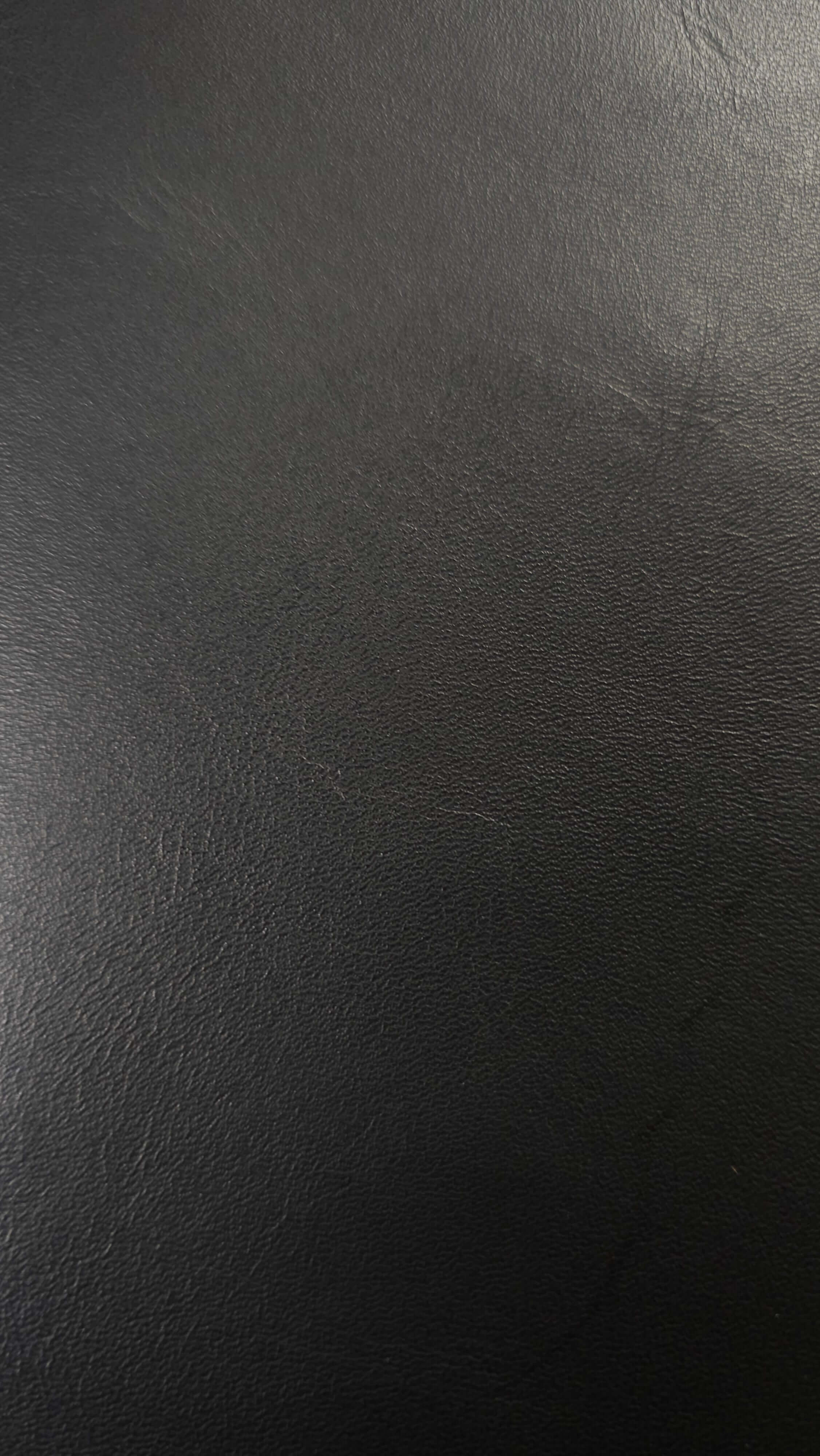 Closeup of Black Side Hide 16.5 sq.ft