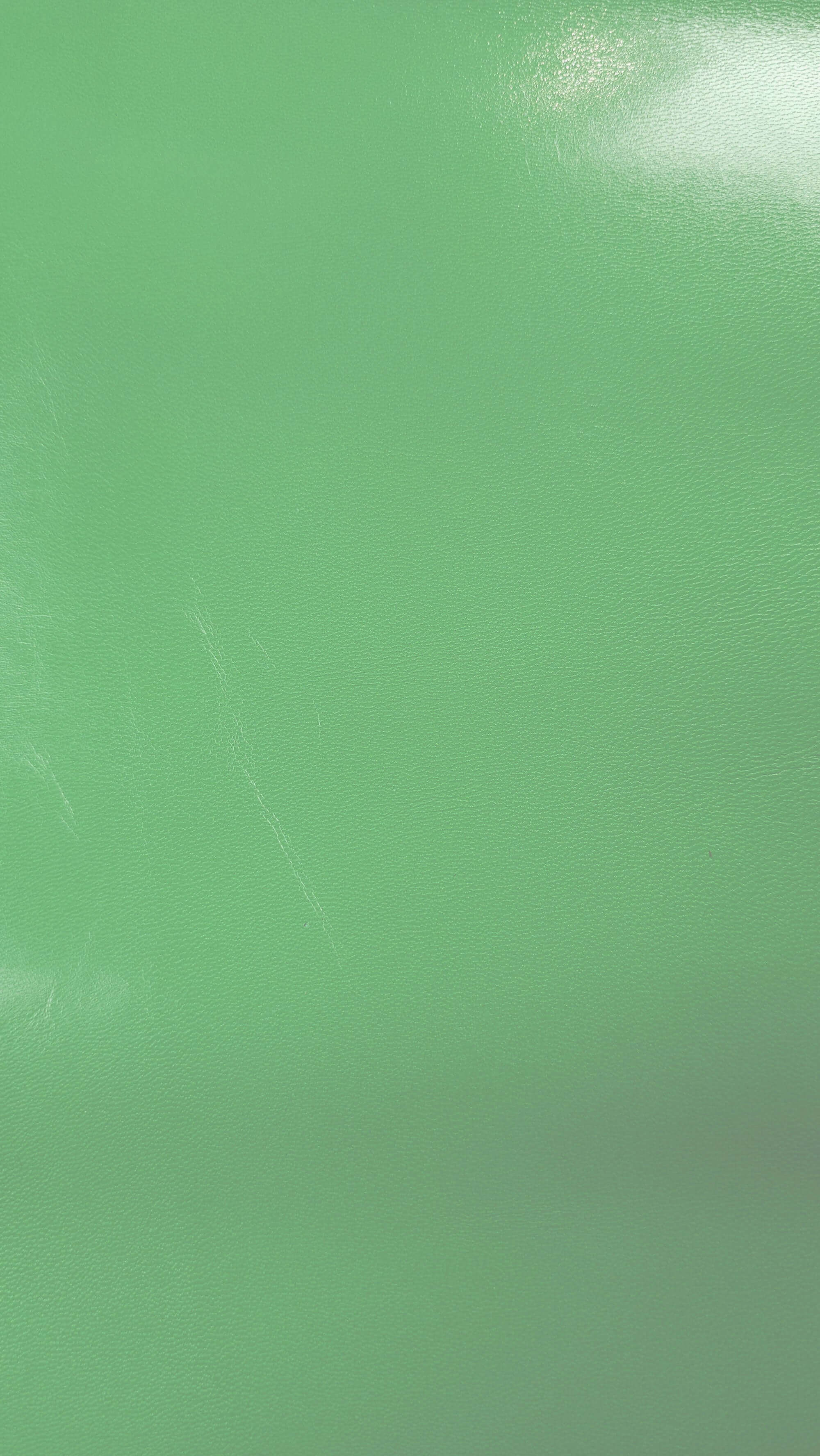 Closeup of Bright Green goatskin hide 2 - 3 sq. ft